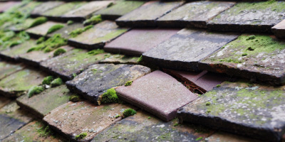 Devauden roof repair costs